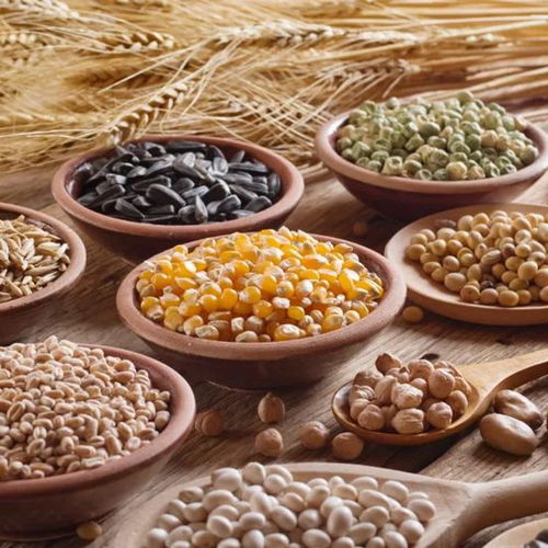 完美产品带你揭秘藏在膳食纤维里的秘密——棉花种植篇